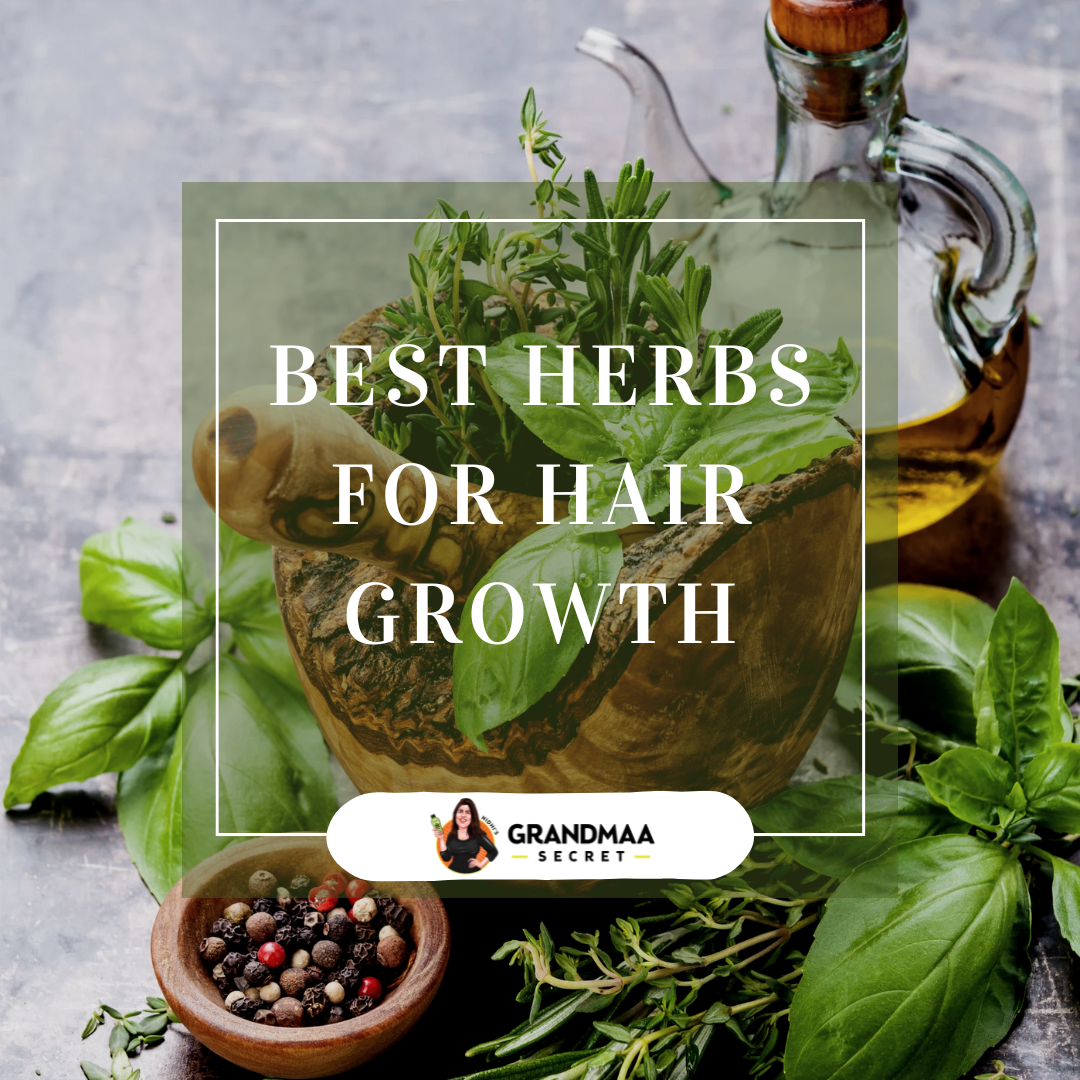 Best Herbs for Hair Growth: How to Use Them for Healthy Hair