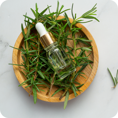 rosemary for hair regrowth