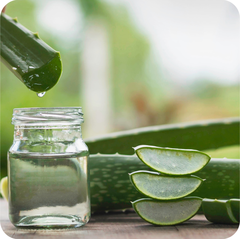 aloe vera shampoo benefits for hair