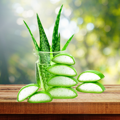 aloe vera for hair shining